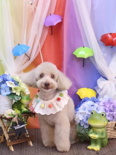 20230630ロンくん